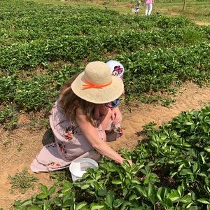 Meet your Posher, Annie